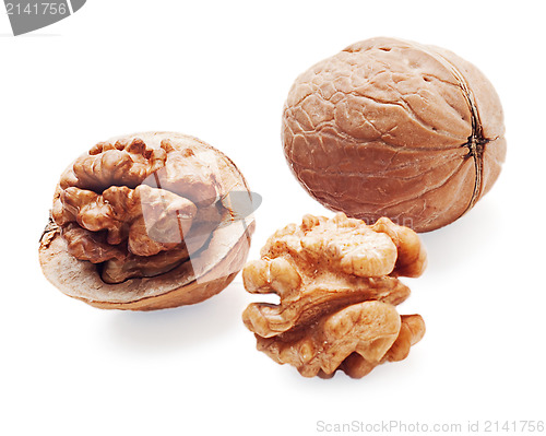 Image of walnut and a cracked walnuts  isolated on the white background