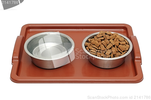 Image of dog breakfast is served