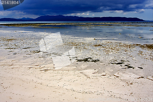Image of  in indian ocean madagascar mountain  