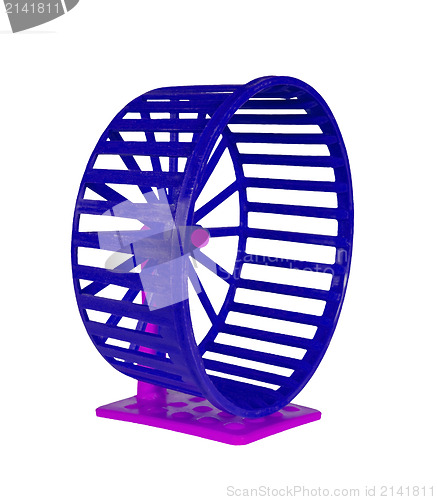 Image of Wheel for rodents