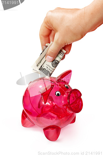 Image of hand putting banknote into piggy bank