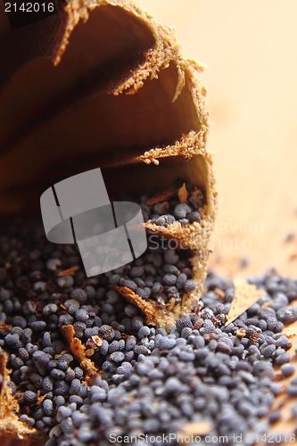 Image of poppy seeds 