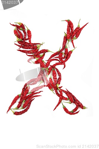 Image of x - alphabet sign from hot chili