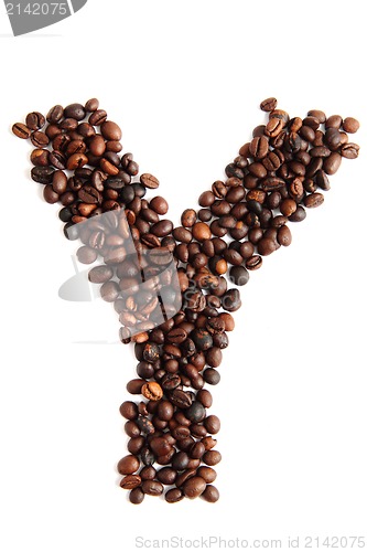 Image of Y, alphabet from coffee beans