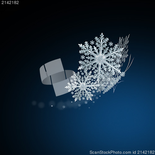 Image of snow butterfly