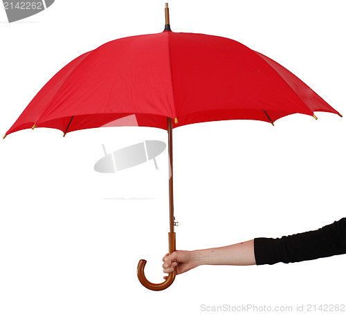 Image of Big umbrella