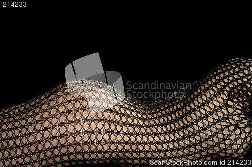 Image of woman in net