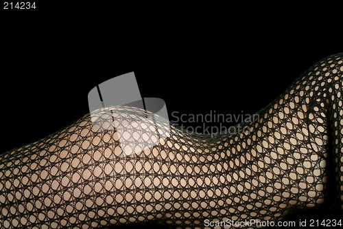 Image of woman in net