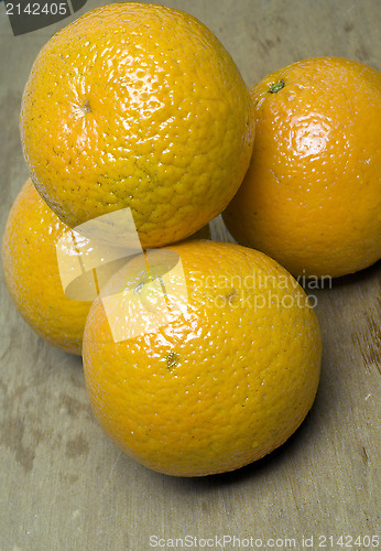 Image of temple oranges  Florida