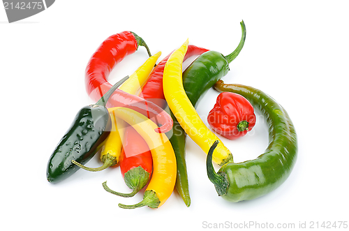 Image of Chili Peppers