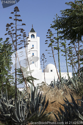 Image of Sidi Bou Said Mosque, Tunisia