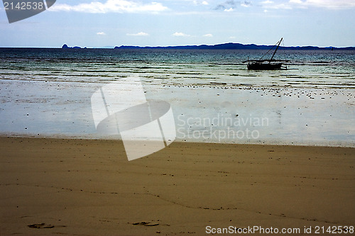 Image of   rock stone branch hill  in madagascar nosy be