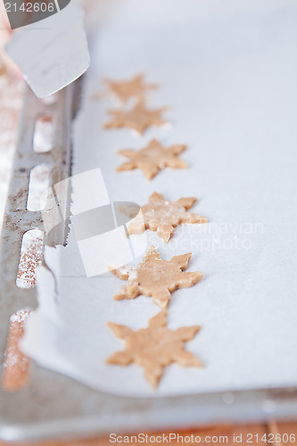 Image of Row of shaped gingerbread dough pieces