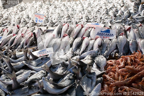 Image of fish on market table