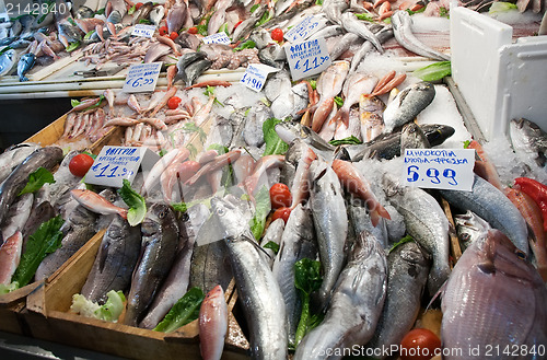 Image of fresh fish on market table