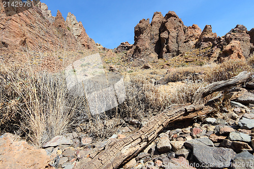 Image of Tenerife - Teide National Park