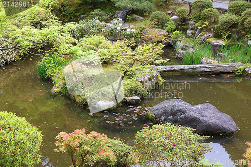 Image of Japanese garden