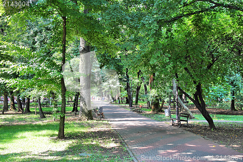 Image of Bucharest park