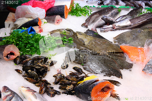 Image of Boqueria fish market