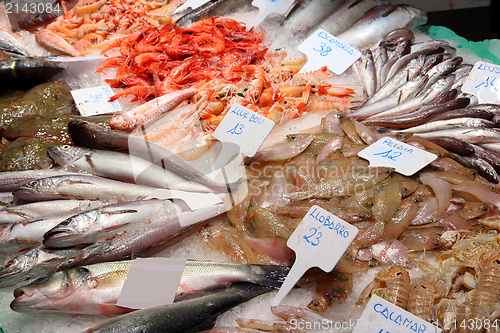 Image of Sea food market