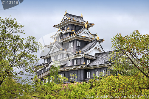 Image of Okayama castle, Japan