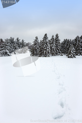 Image of Canadian winter landscape