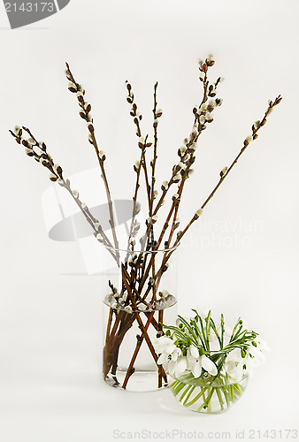Image of Still Life with bouquets of willow and snowdrops