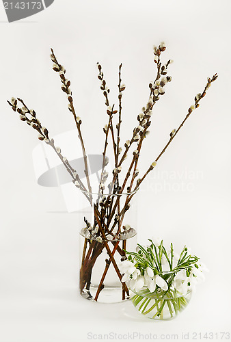 Image of Still Life with bouquets of willow and snowdrops