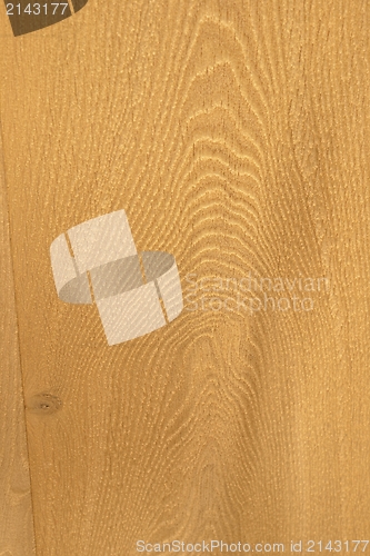 Image of Wood Texture 