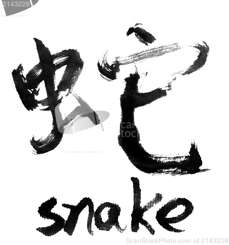 Image of snake