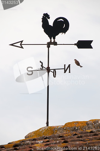 Image of Wind cock weather vane direction