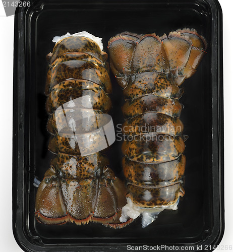 Image of Raw Lobster Tails