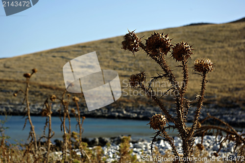 Image of Cape Tenaro