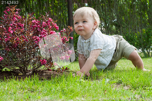 Image of Little baby boy