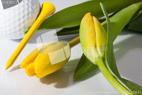 Image of Flowers and golf 