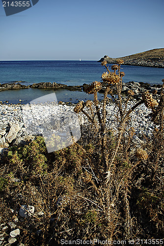 Image of Cape Tenaro