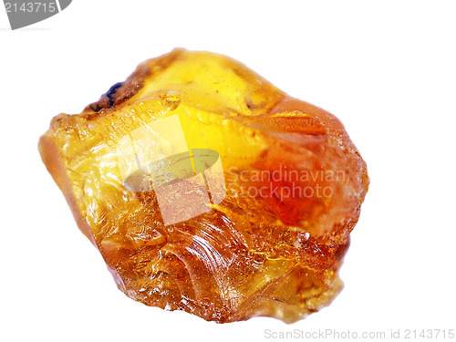 Image of Amber