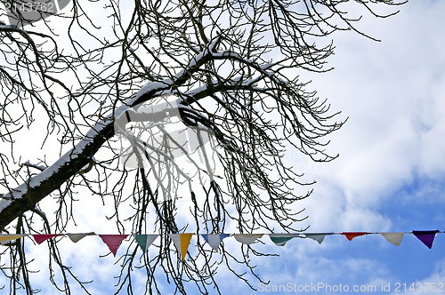 Image of tree in winter with carneval flaggs