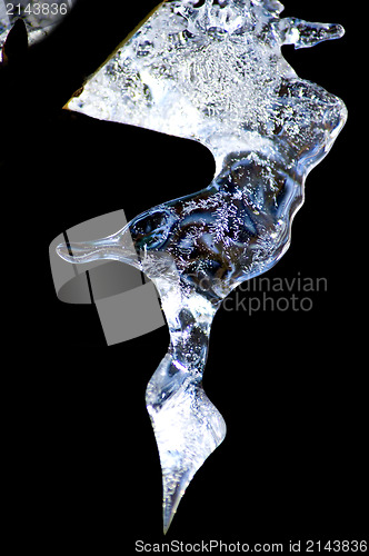 Image of icicle on a branch