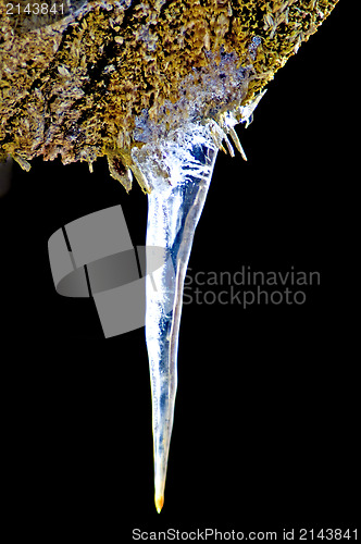 Image of icicle on a branch