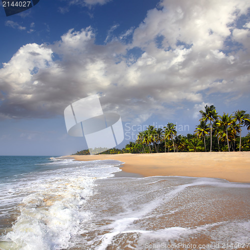 Image of beach landscape