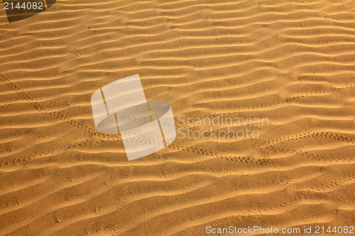 Image of sand in desert with scarab footprints