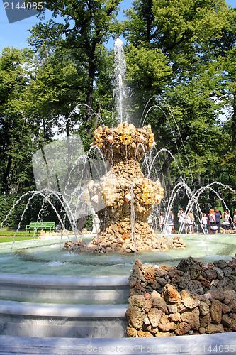 Image of fountain in renovated Summer garden