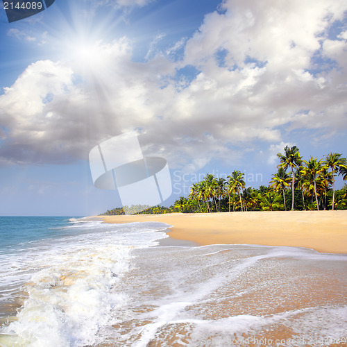 Image of beach landscape