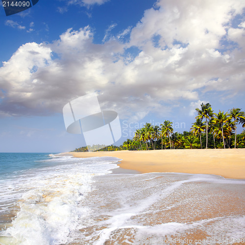 Image of beach landscape