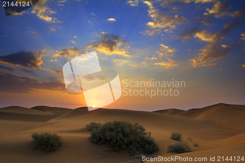 Image of sunrise in desert