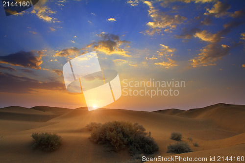 Image of sunrise in desert