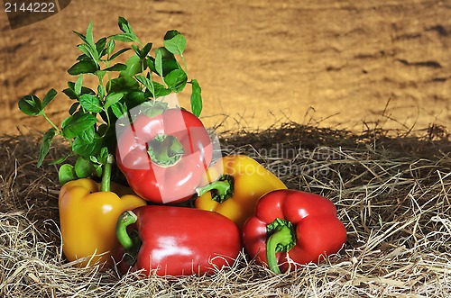 Image of Bell Peppers