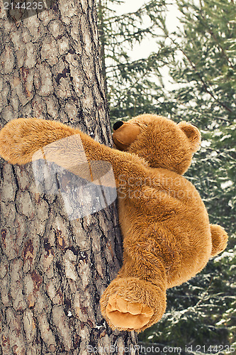 Image of Toy bear climbing on a tree in forest