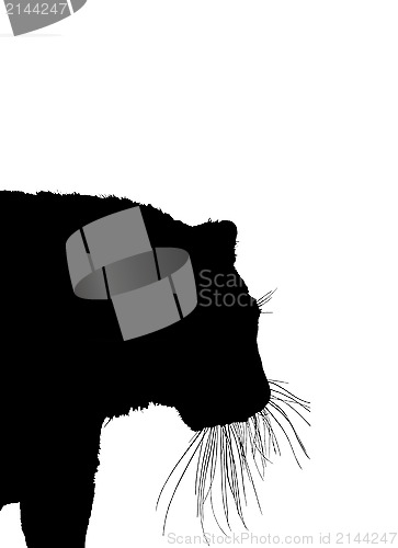 Image of silhouette of tiger isolated on a white background